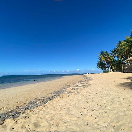 Las Terrenas Beachfront 2 Bedrooms Condo With Pool Eksteriør bilde
