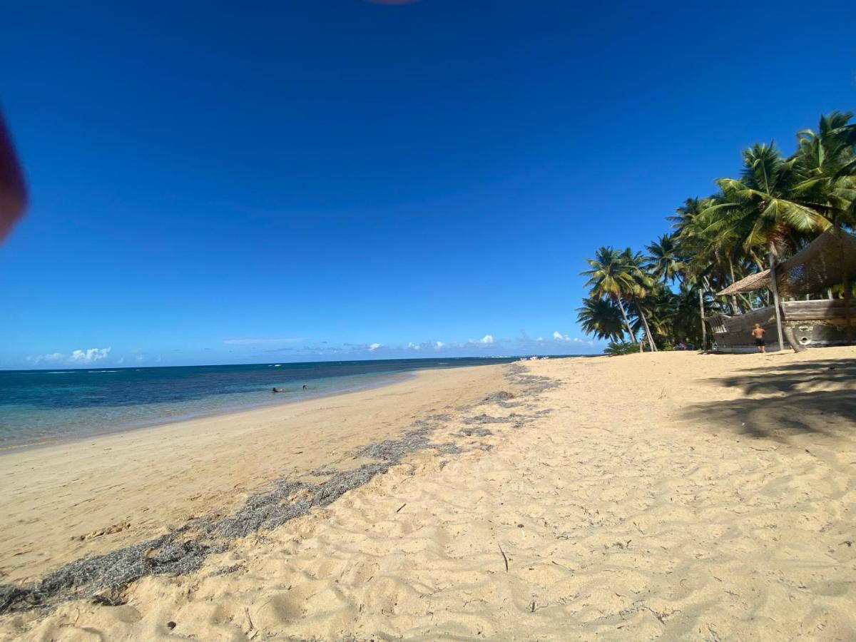 Las Terrenas Beachfront 2 Bedrooms Condo With Pool Eksteriør bilde